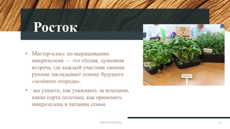 Слайд15