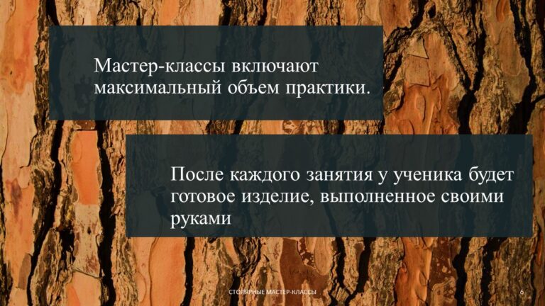 Слайд6